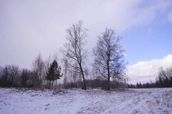 Téli Természet Háttér Tájkép Vidéken — Stock Fotó