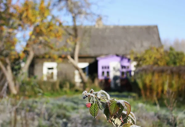 Paesaggio Autunnale Con Una Casa Con Cortile — Foto Stock