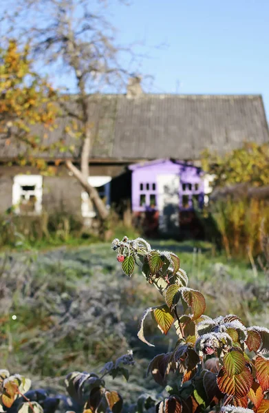 Autumn Landscape House Backyard — Foto de Stock