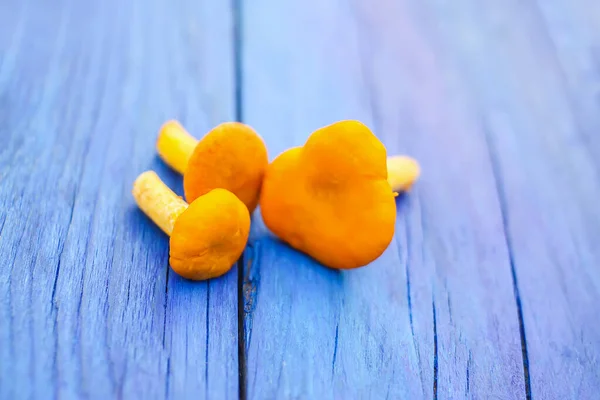 Chanterelle Cogumelos Amarelos Comestíveis Mesa Madeira Perto — Fotografia de Stock