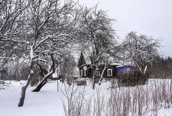 Kırsal Kesimde Kış Doğası — Stok fotoğraf