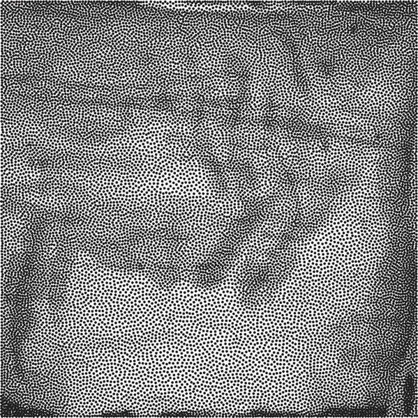 Fondo Punteado Abstracto Textura Blanco Negro Pequeños Puntos Redondos Partículas — Archivo Imágenes Vectoriales