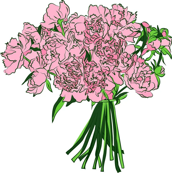 Bouquet Fiori Peonia Illustrazione Disegnata Mano Sfondo Bianco — Vettoriale Stock
