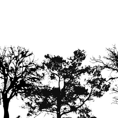 Sivri ve yaprak döken ağaç siluetleriyle siyah ve beyaz arka plan. Orman doğası sonsuz bir düzen içinde. Vektör illüstrasyonu.