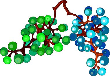 Dekoratif tasarım öğesi. Beyaz arkaplanda üzüm asması.