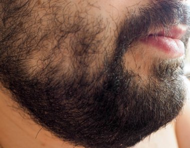 Erkek çene dudakları ve yanakları kıllı kenarların ortalama uzunluğunda.