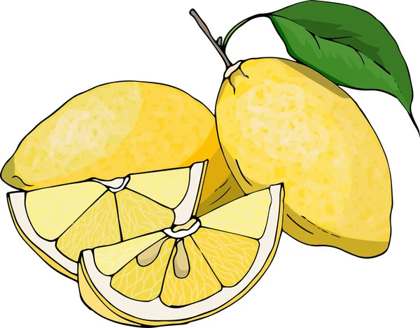 Желтый лимон с ломтиками на белом фоне. Реалистичная векторная иллюстрация . — стоковый вектор