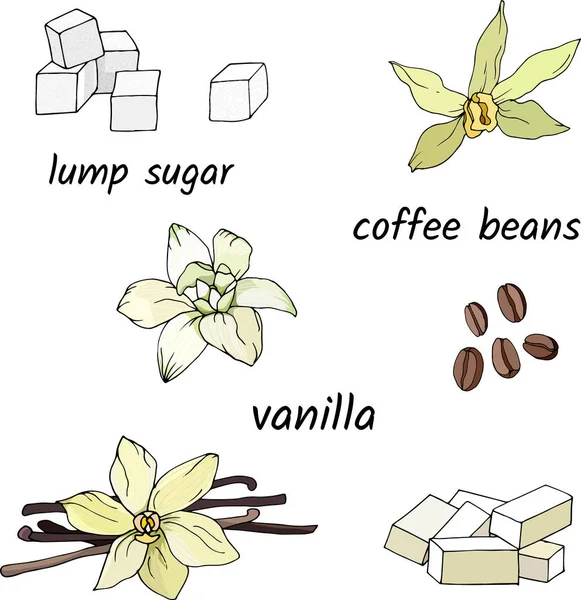 Set di spezie per tè e caffè su sfondo bianco. Illustrazione vettoriale di vaniglia, zucchero, caffè . — Vettoriale Stock