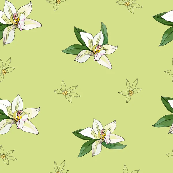 Vanilla Flower Vectorストックベクター ロイヤリティフリーvanilla Flower Vectorイラスト ページ 14 Depositphotos