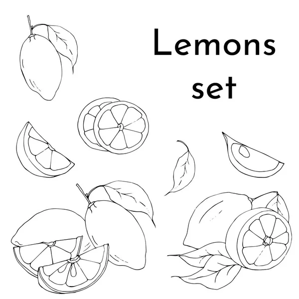 Σύνολο λεμονιών με φύλλα, φέτες λεμονιού, ασπρόμαυρο σχέδιο μελανιού περίγραμμα, διανυσματική απεικόνιση. — Διανυσματικό Αρχείο