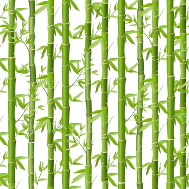 Bambu vektörü kusursuz desen. Beyaz arka planda yeşil bambu koruluğu. Mutfak tekstili, ambalaj kağıdı, duvar kağıdı tasarımı, kumaş.
