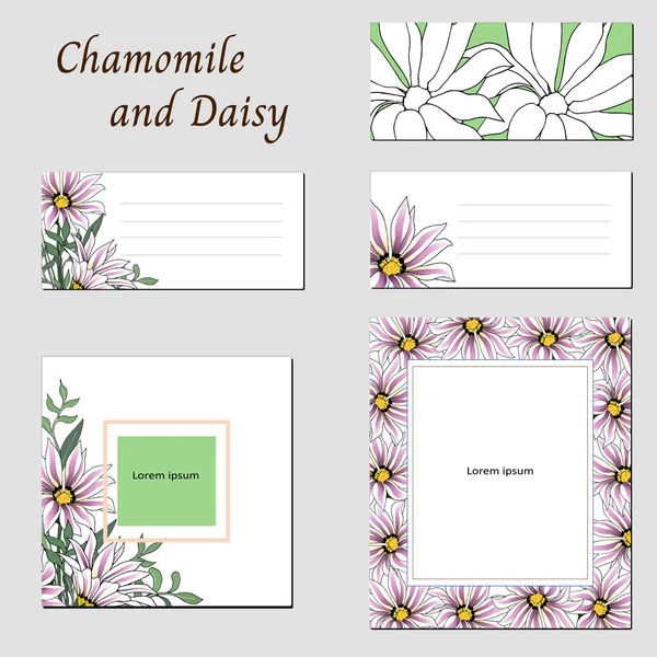 Set Frames Text African Daisies Banners Florales Tarjetas Visita Etiquetas — Vector de stock