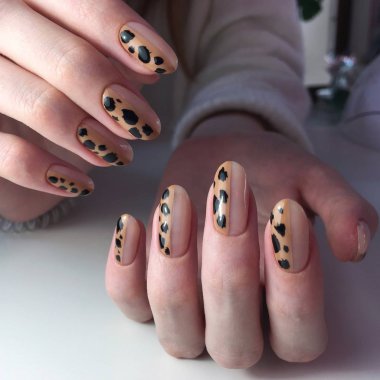 Kadınların kalın sapları üzerinde leopar desenli Fransız manikürü..