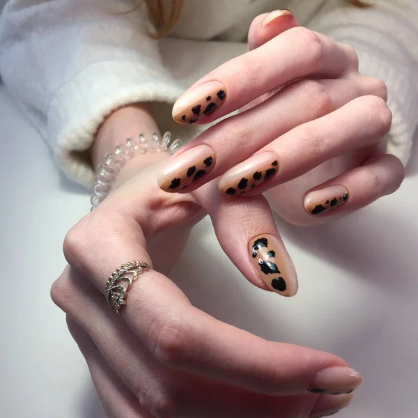 Manicure francês em alças grossas das mulheres com design de leopardo . — Fotografia de Stock