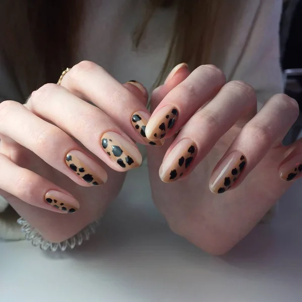 Fransk manikyr på damtjocka handtag med leoparddesign. — Stockfoto