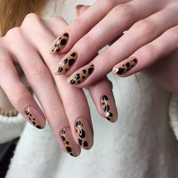 French manicure on women's thick handles with leopard design. — Stock Photo, Image