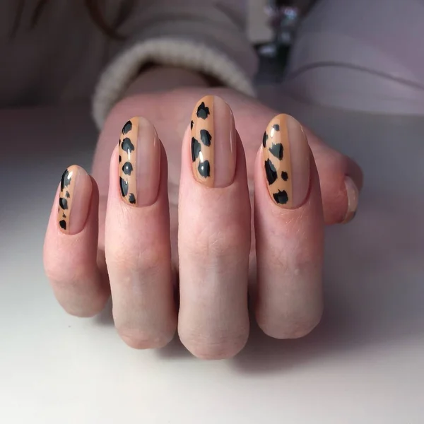 Manicure francês em alças grossas das mulheres com design de leopardo . — Fotografia de Stock