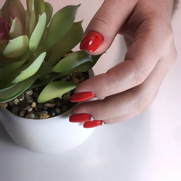 Foto Close Uma Bela Mão Feminina Com Prego Vermelho Belas — Fotografia de Stock