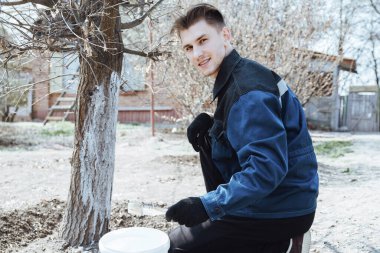 Ağacı kemirgenlere karşı korumak için beyaz boyayla kaplayan adam, baharda bahçe işleri, beyazlatılmış ağaçlar. Bahçede iş.