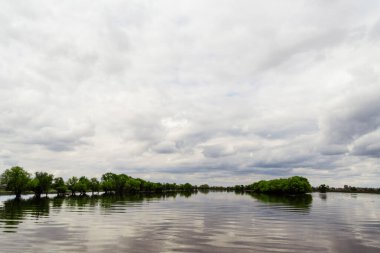 Bankalarından taşan bir nehir. Sel, peyzaj. Nehir kıyılarından taştı, ağaçlar suda duruyor..