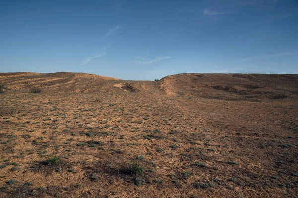 Steppe Manzarası Mavi Gökyüzünün Altındaki Bozkırda Bir Tepe — Stok fotoğraf