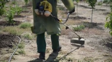 Bir adam çimleri biçme makinesiyle biçiyor. Bir işçi çimleri benzin biçme makinesiyle biçiyor.