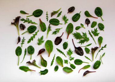 Beyaz arka planda roka, mongold, ıspanak, marul çeşitleri. Salata yapraklı desen. Sebze yaprakları. Sağlıklı beslenme konsepti. Üst manzara, düz uzanma.