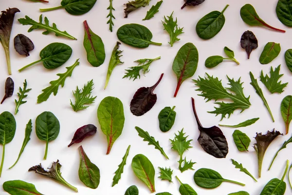 Pattern Salad Leaves Isolated Mixed Salad Arugula Mongold Spinach Lettuce — Stock Photo, Image