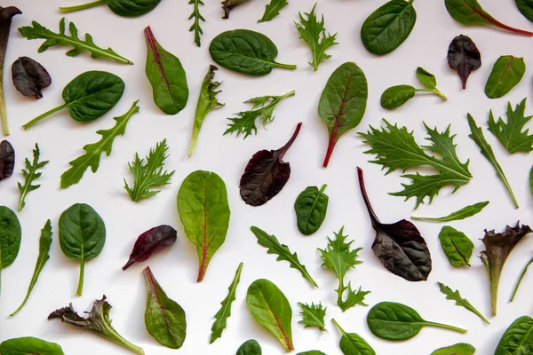 Patroon Met Saladebladeren Geïsoleerde Gemengde Salade Met Arugula Mongold Spinazie — Stockfoto