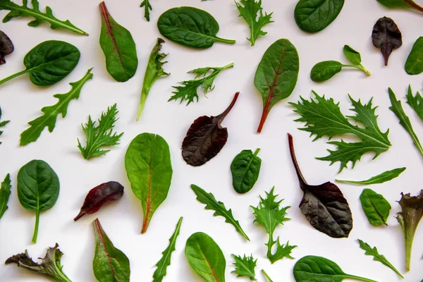 Assortment Arugula Mongold Spinach Lettuce White Background Pattern Salad Leaves — 스톡 사진