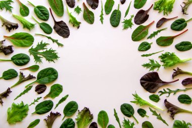 Beyaz arka planda roka, mongold, ıspanak, marul çeşitleri. Salata yapraklı bir desen daire şeklinde dizilmiş. Sağlıklı beslenme konsepti. Üst görünüm, düz görünüm, kopyalama alanı.