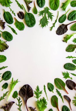 Salata yapraklı bir desen daire şeklinde dizilmiş. Arugula, Mongold, ıspanak, beyaz arka planda marul ile izole edilmiş salata. Sağlıklı beslenme konsepti. Üst görünüm, düz görünüm, kopyalama alanı.