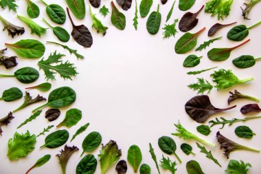 Arugula, Mongold, ıspanak, beyaz arka planda marul ile izole edilmiş salata. Bebek sebze yaprakları. Sağlıklı beslenme konsepti. Üst görünüm, düz görünüm, kopyalama alanı.