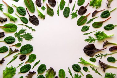 Salata yapraklı bir desen daire şeklinde dizilmiş. Arugula, Mongold, ıspanak, beyaz arka planda marul ile izole edilmiş salata. Sağlıklı beslenme konsepti. Üst görünüm, düz görünüm, kopyalama alanı.