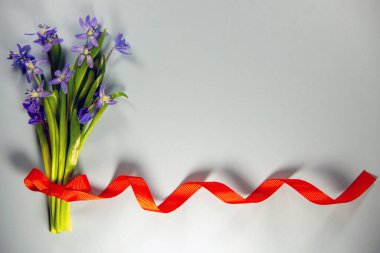 Mavi arka planda kırmızı kurdeleli bir buket taze BlueBell çiçeği. Tatil konsepti. Üst görünüm, düz görünüm, kopyalama alanı.