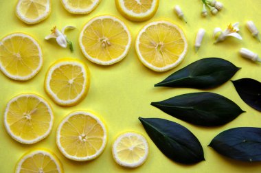 Sarı limon dilimleri, sarı arka planda limon ağacı yaprakları ve çiçekleri olan yaratıcı bir düzen. Minimum yaz konsepti. Düz yatıyordu. Boşluğu kopyala, kağıt kart.
