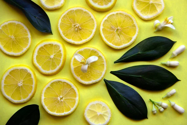 Creative Layout Pattern Yellow Lemon Slices Leaves Flowers Lemon Tree — Stock Photo, Image