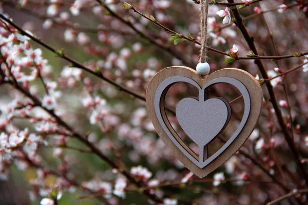 Decorative wooden heart hanging on a tree branch. Wallpaper blooming garden in sunny weather. Spring concept.