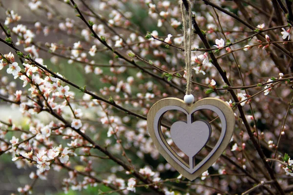 Decorative wooden heart hanging on a tree branch. Wallpaper blooming garden in sunny weather. Spring concept.