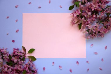 Çiçek açan bir ağacın dalları, pembe taç yaprakları ve kağıt kart notlarıyla trend düzeni. Çiçek kompozisyonu. Asgari bahar konsepti. Düz yatıyordu. Boşluğu kopyala.