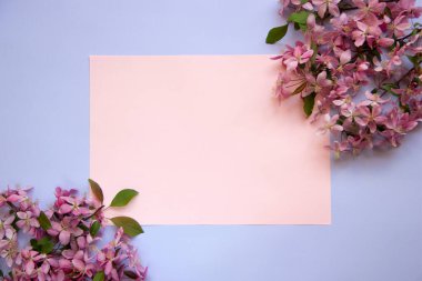 Tomurcuklanan ağaç dalları ve kağıt kart notlarıyla trend düzeni. Çiçek kompozisyonu. Asgari bahar konsepti. Düz yatıyordu. Boşluğu kopyala.