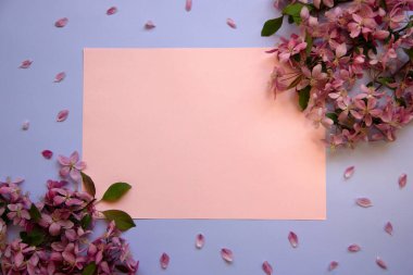 Çiçek açan bir ağacın dalları, pembe taç yaprakları ve kağıt kart notlarıyla trend düzeni. Çiçek kompozisyonu. Asgari bahar konsepti. Düz yatıyordu. Boşluğu kopyala.