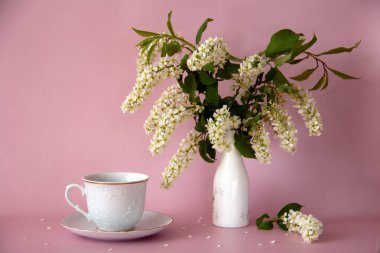 Vazoda bir buket kuş kiraz çiçeği ve pembe arka planda beyaz kiraz çiçekleri. Tatil selamlama arkaplanı. Tebrik kartı. Boşluğu kopyala.