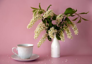Beyaz çay fincanı ve çay tabağı, bir vazo dolusu taze kiraz, pembe arka planda taç yaprakları. Durgun hayat. Romantik bir kavram. Boşluğu kopyala.