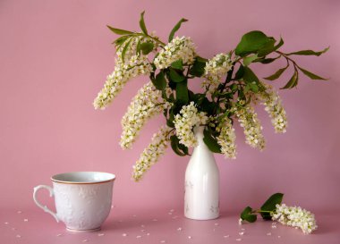 Beyaz çay fincanı ve çay tabağı, taze bir buket kirazlı vazo, çiçek açan bir kiraz dalı ve pembe arka planda taç yaprakları. Durgun hayat. Romantik bir kavram. Boşluğu kopyala.