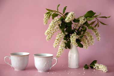 Beyaz çay fincanları, bir vazo dolusu taze kuş kirazı, çiçek açan bir kiraz dalı ve pembe arka planda taç yaprakları. Durgun hayat. Romantik bir kavram. Boşluğu kopyala.