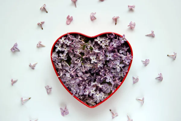 Composition Florale Coeur Avec Des Fleurs Violettes Lilas Concept Minimaliste — Photo