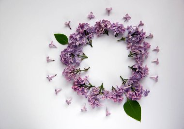 Daire çizili yeşil yapraklı mor leylakların oluşturduğu yaratıcı düz bir kompozisyon. Bahar konsepti Doğa geçmişi. Üst görünüm, alanı kopyala.