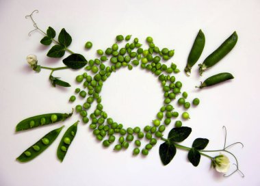 Yeşil bezelyeler, kabuklar ve beyaz bir zemin üzerinde bezelye dalıyla yaratıcı bir düzen. Doğa geçmişi. Sağlıklı gıda konsepti. Düz yatıyordu. Boşluğu kopyala.