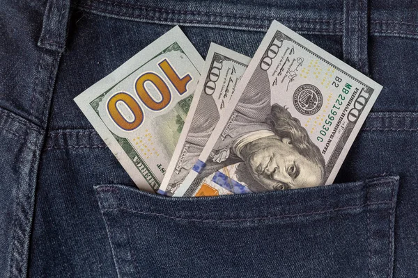 Bir kotun cebinde 100 dolarlık banknotlar